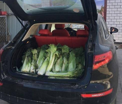 农村小伙国产车保养视频,省钱又省心