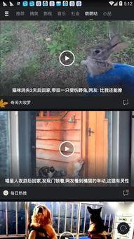 国产手机微拍视频,捕捉生活瞬间，展现科技魅力