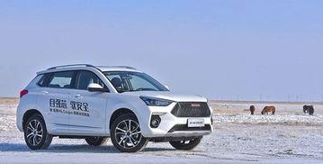 国产车超越欧美车辆视频,超越欧美，引领新纪元