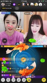 国产大瑶宝直播视频,探寻国产直播新风尚