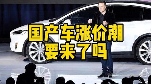 国产车涨价视频